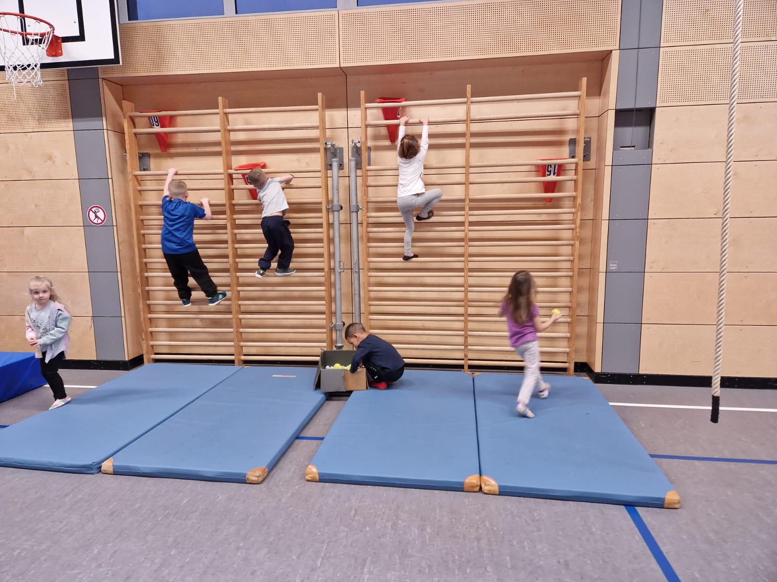 Kinder in der Turnhalle an der Sprossenwand